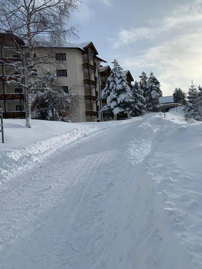 Apartment Hundefreundliche Bergwohnung Neben Der Skipiste - Mittelstation Skigebiet Gerlitzen