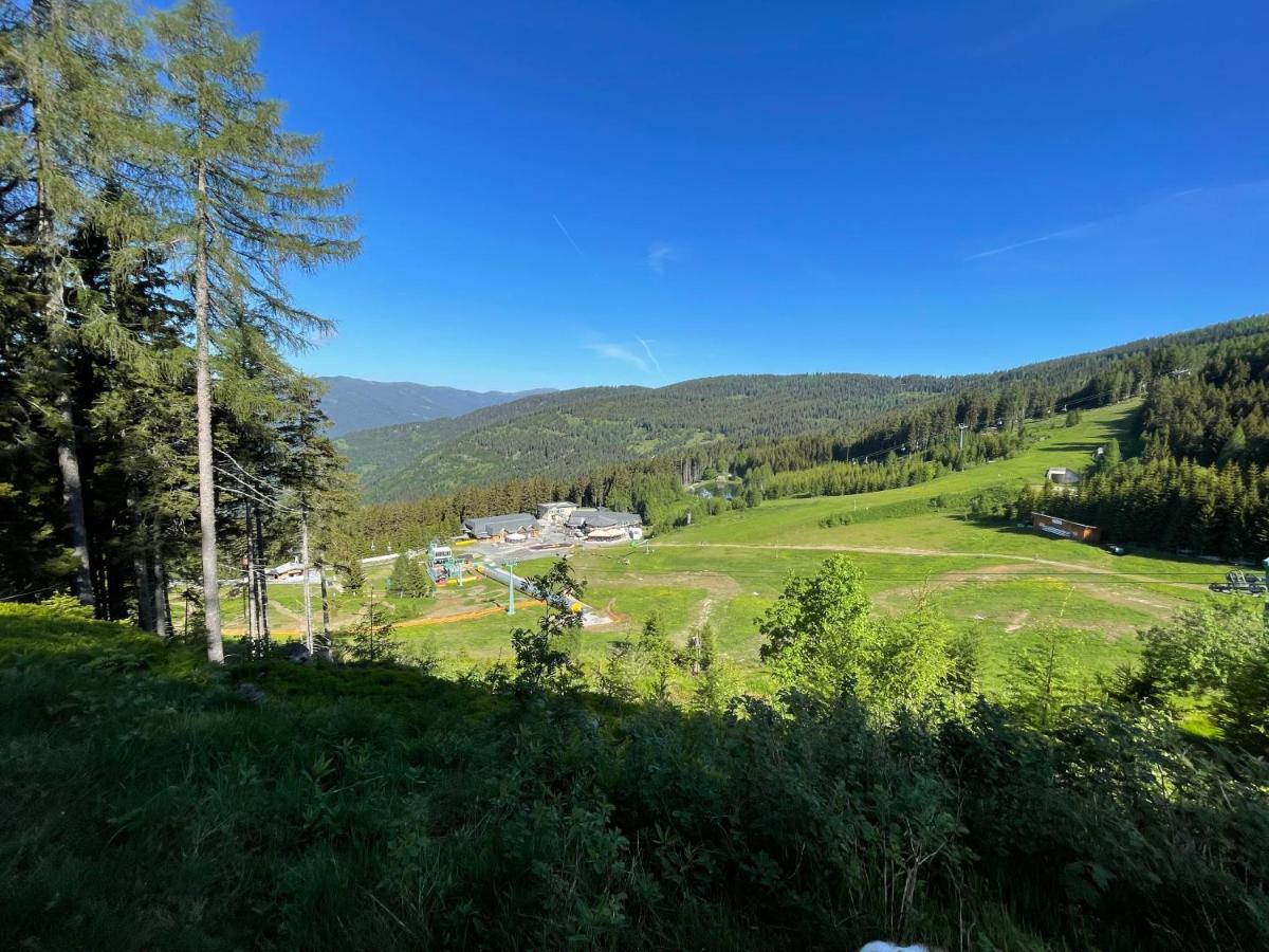 Hundefreundliche Bergwohnung Neben Der Skipiste - Mittelstation Skigebiet Gerlitzen Apartment